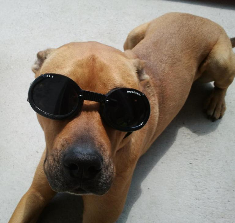 Juicy fait la star