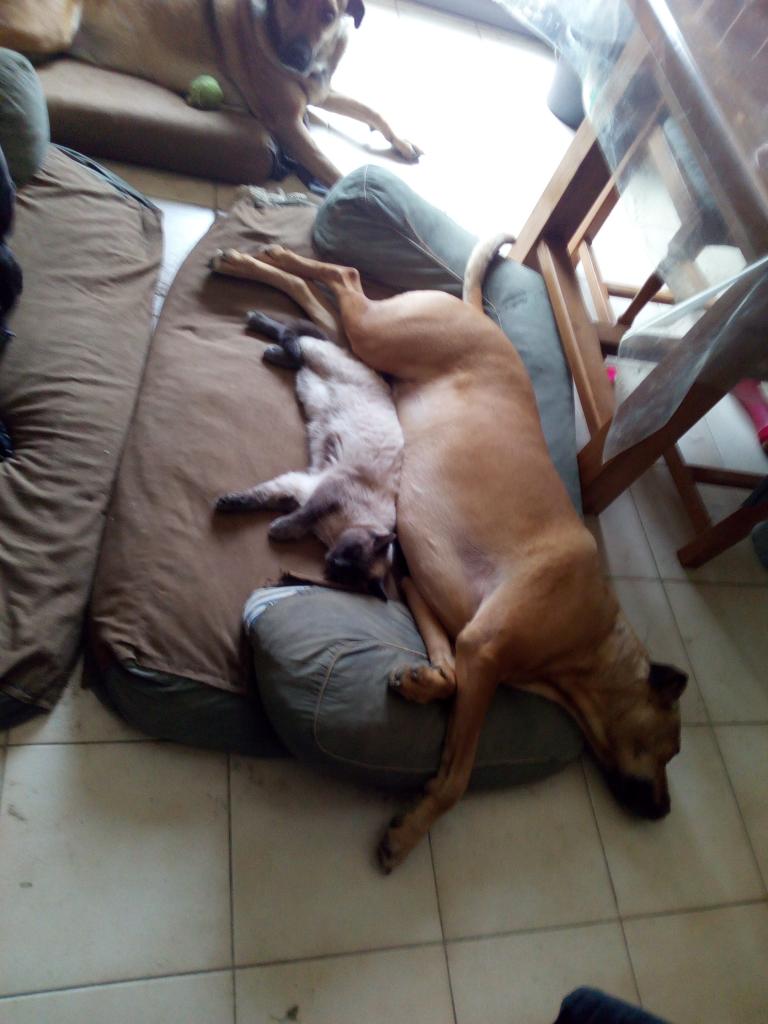 Sidonie et Juicy