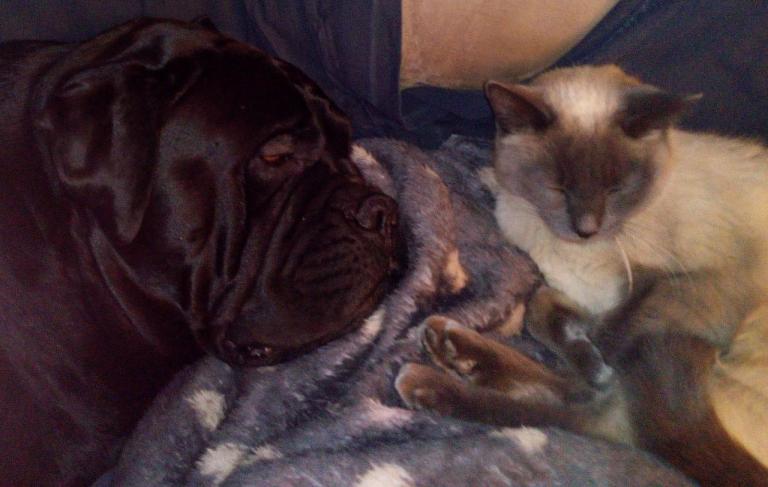 Jarco et Sidonie en pleine sieste