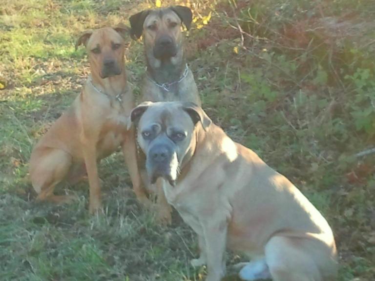 Souvenir de Weedo, Shiva, Juicy